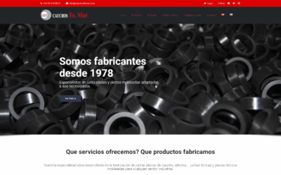 Proyecto de Juntas de Caucho