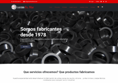 Proyecto de Juntas de Caucho