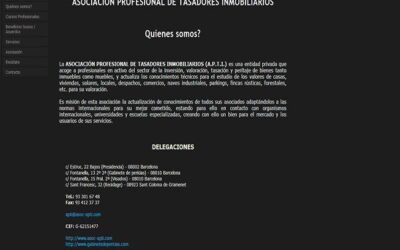 Proyecto de Asociación Profesional de Tasadores Inmobiliarios
