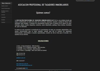 Proyecto de Asociación Profesional de Tasadores Inmobiliarios
