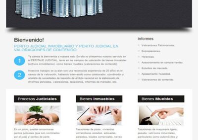 Proyecto de Perito Tasador Inmobiliario