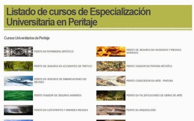 Proyecto de Cursos Universitarios de Peritos