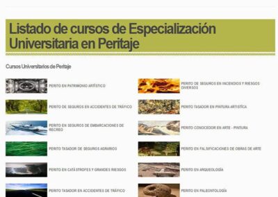 Proyecto de Cursos Universitarios de Peritos