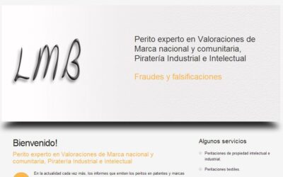 Proyecto de Perito en Piratería Intelectual e Industrial