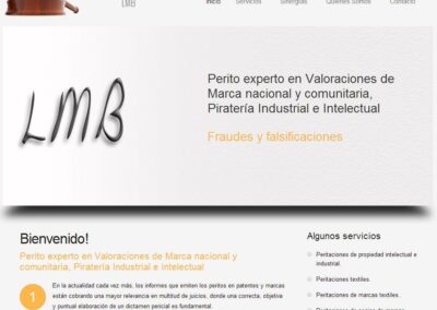 Proyecto de Perito en Piratería Intelectual e Industrial