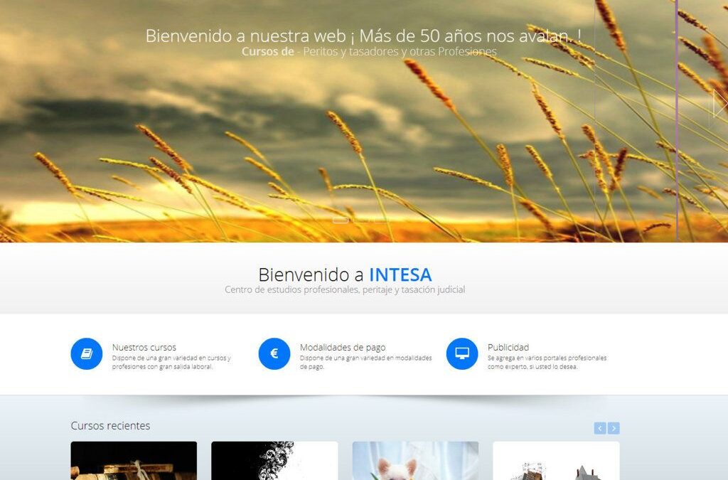 Proyecto de Cursos a distancia