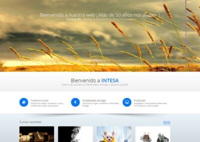 Proyecto de Cursos a distancia