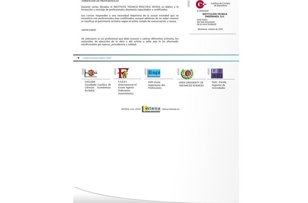 Proyecto de Anticuarios Formación