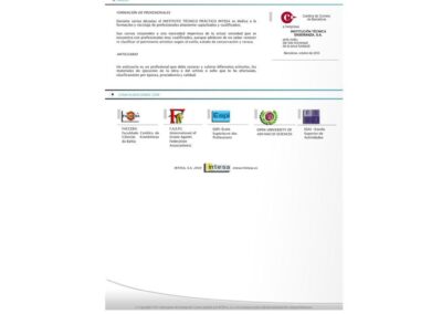 Proyecto de Anticuarios Formación