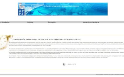 Proyecto de Asociación profesional de peritos judiciales