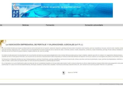 Proyecto de Asociación profesional de peritos judiciales
