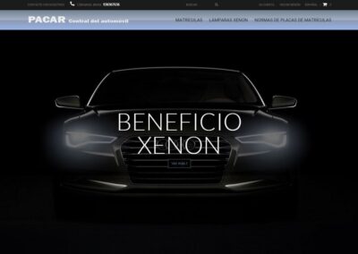 Proyecto de Tienda Online de matrículas y lámparas XENON