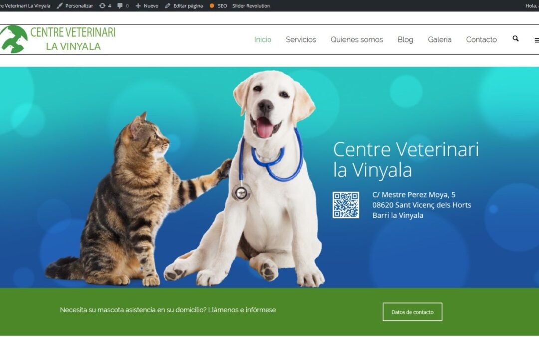 Proyecto de Centro Veterinario