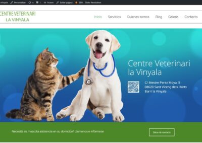 Proyecto de Centro Veterinario