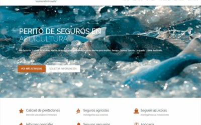 Proyecto de Página web para Despacho de abogados