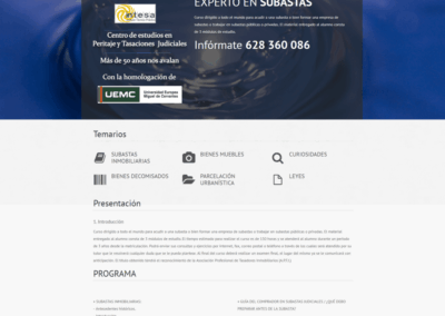 Proyecto Curso Experto en Subastas