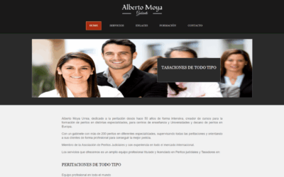 Proyecto página web Perito Profesional