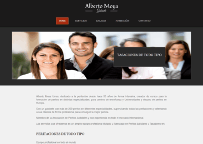 Proyecto página web Perito Profesional