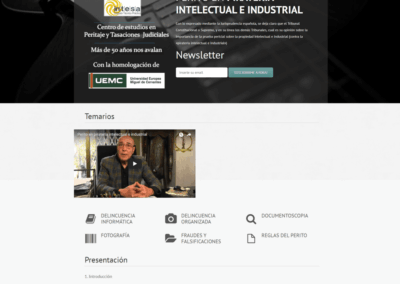 Proyecto Curso Perito en Piratería
