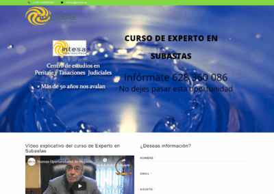 Página web curso de experto en subastas