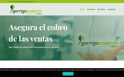 Página web asesoría