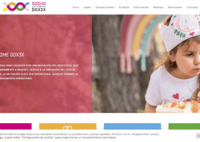 Página web Sasha