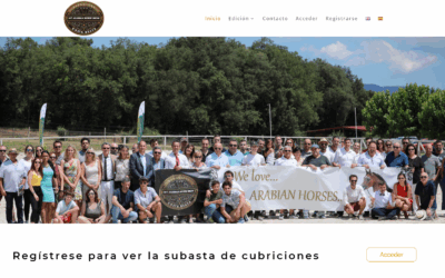 Página web Arabian Horsess / Subastas