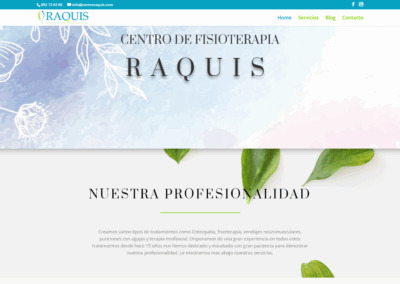 Página web Fisioterapia Raquis