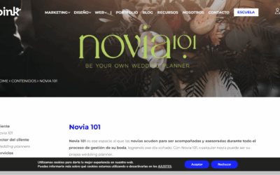 Artículo Novia 101