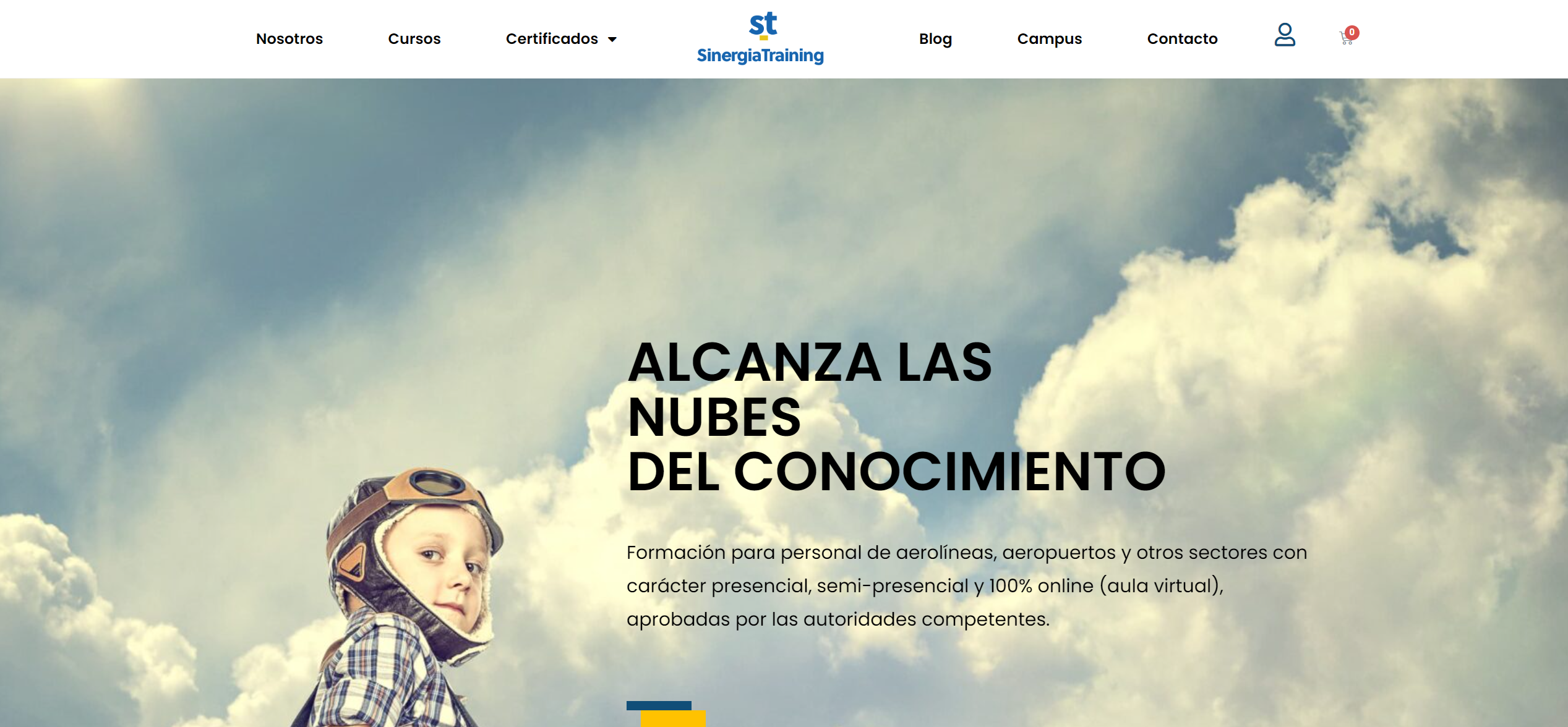 home-Sinergia-Training (1)