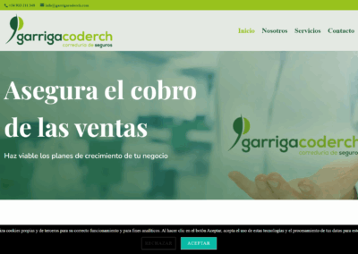 Página web asesoría
